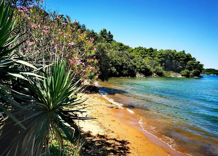 Mare Vista Sea View كالي